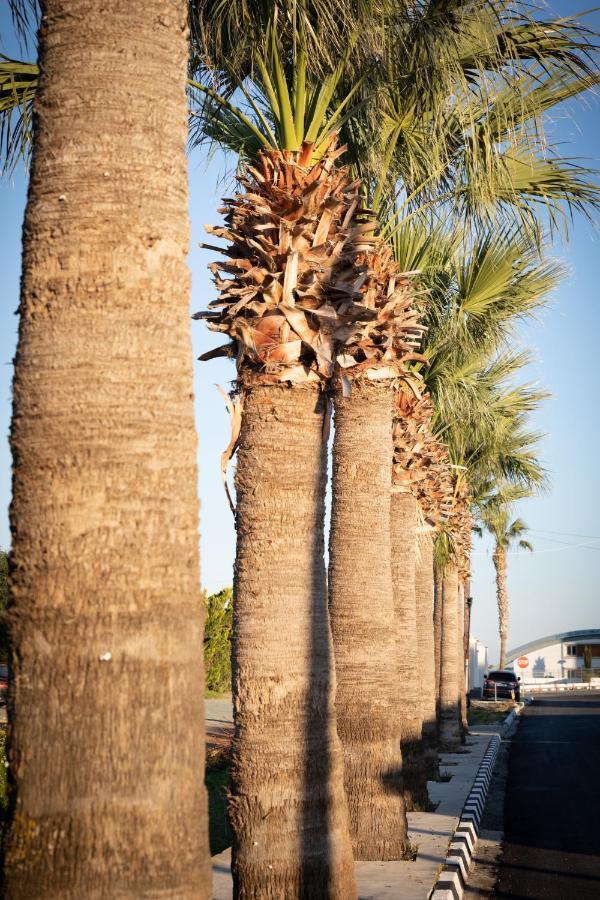 Limassol Akrotiri Beach Vine Cottage A Exterior foto