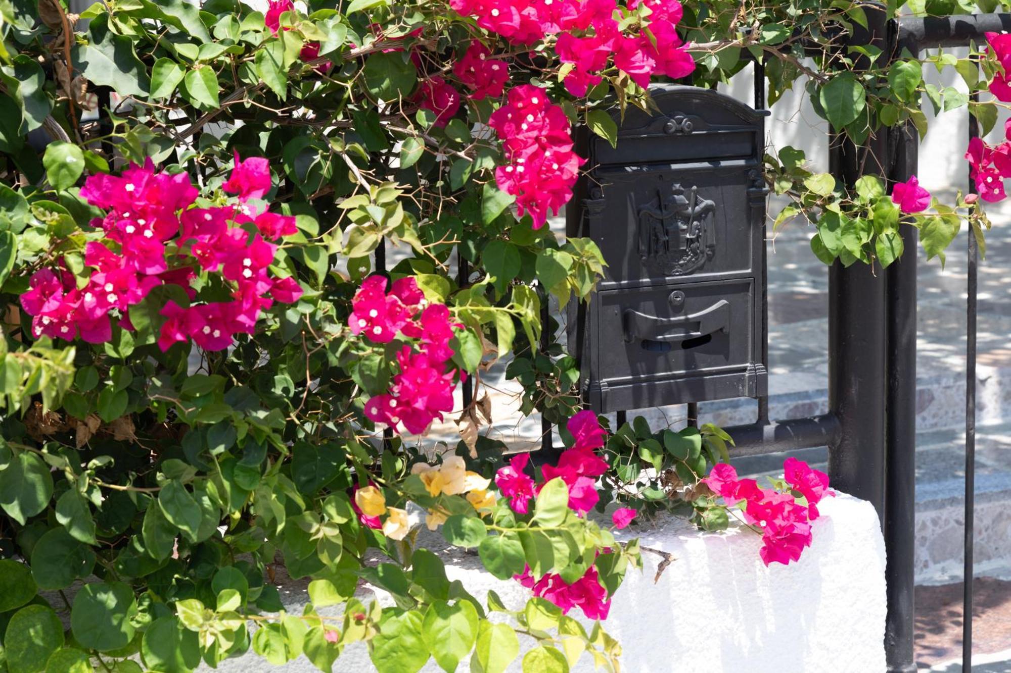 Limassol Akrotiri Beach Vine Cottage A Exterior foto